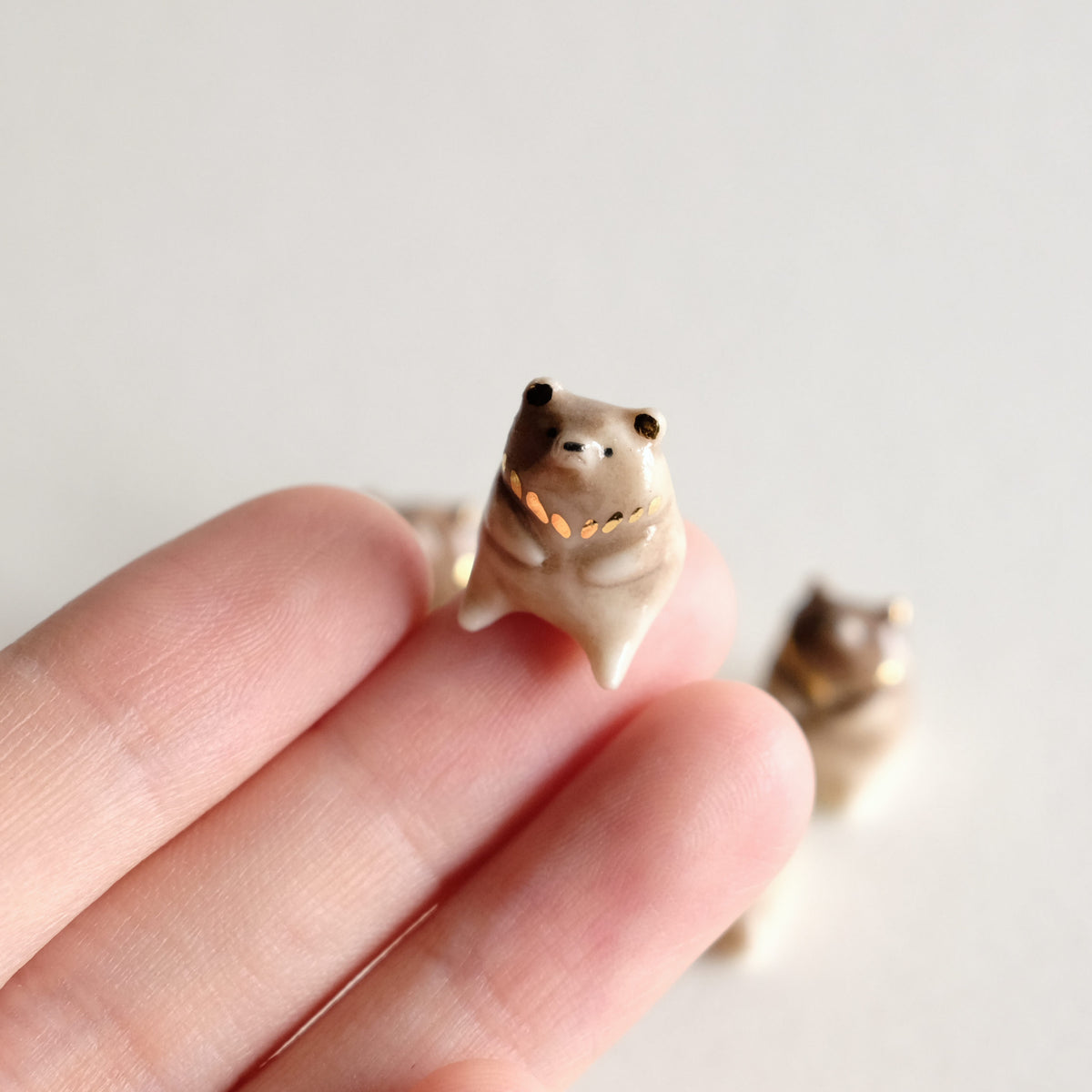 Brown Bear Guardian Lithops Studio