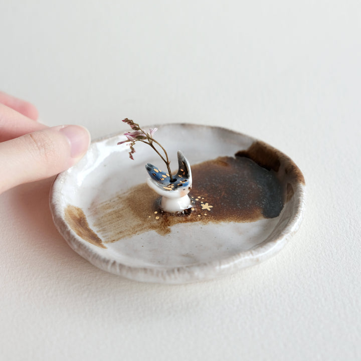 Swallow Dish