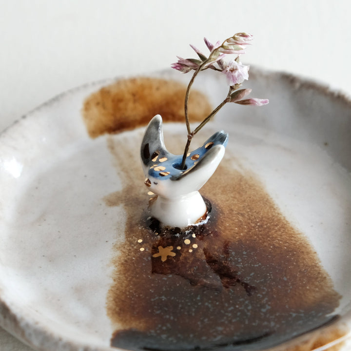 Swallow Dish