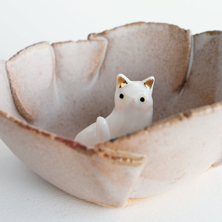 Folds Bowl | Curious Cat