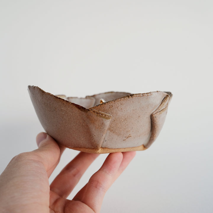 Folds Bowl | Curious Cat