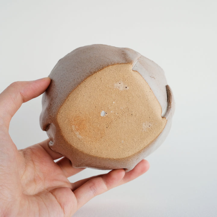 Folds Bowl | Curious Cat