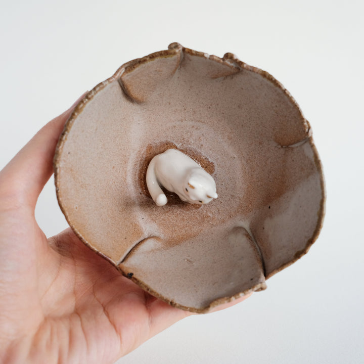 Folds Bowl | Curious Cat