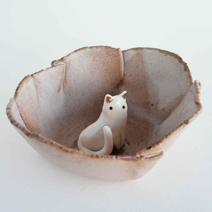 Folds Bowl | Curious Cat