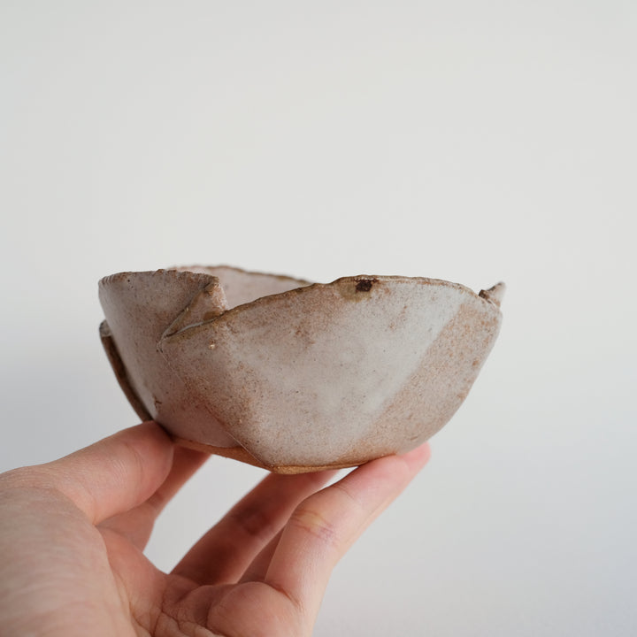 Folds Bowl | Curious Cat