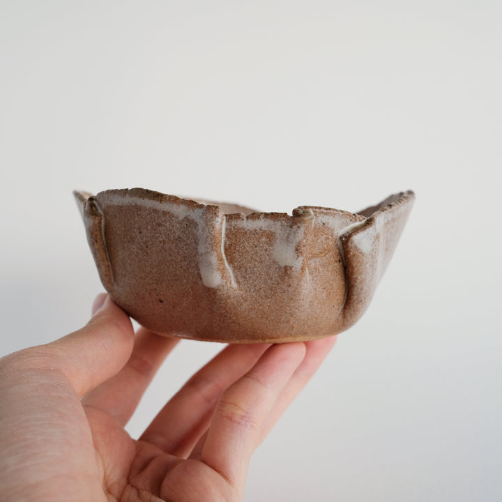 Folds Bowl | Curious Cat