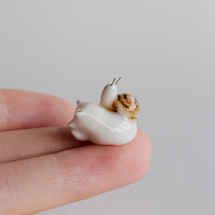 Fox Guardian | Snail Friend