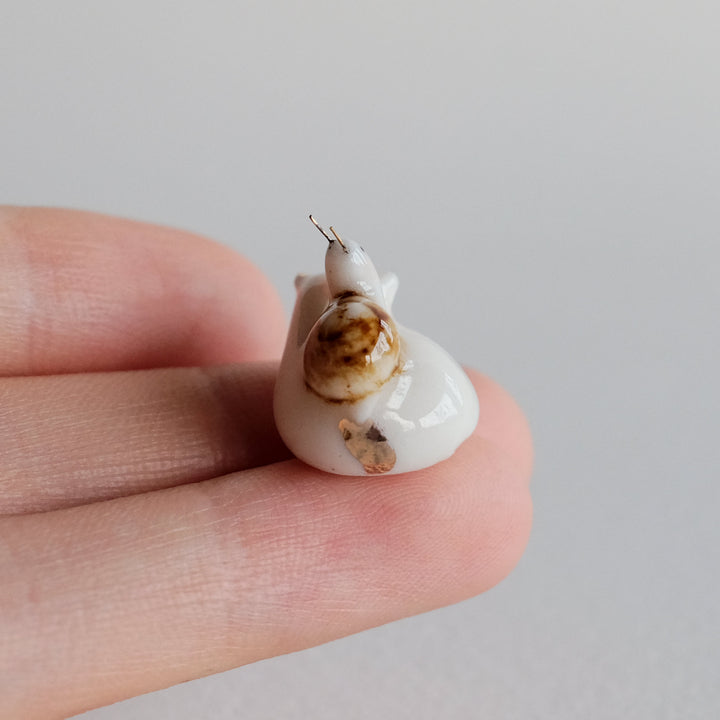 Fox Guardian | Snail Friend