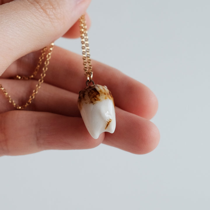 Star Belly Lion Necklace