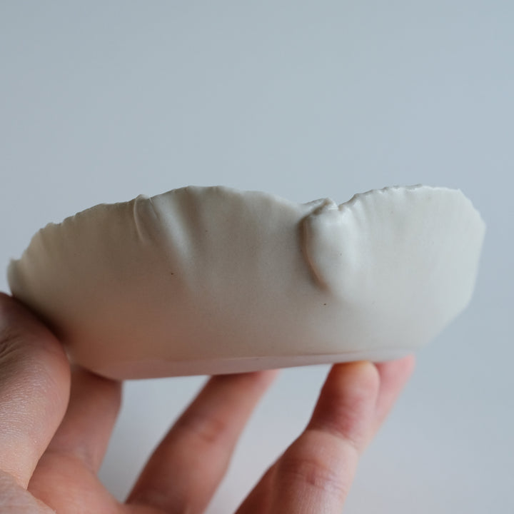 Folds Bowl | Matte Stretching Owl
