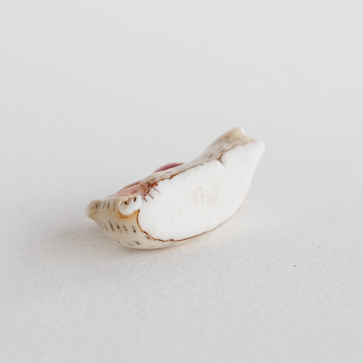 Snow Monkey Guardian | Rest with Apple