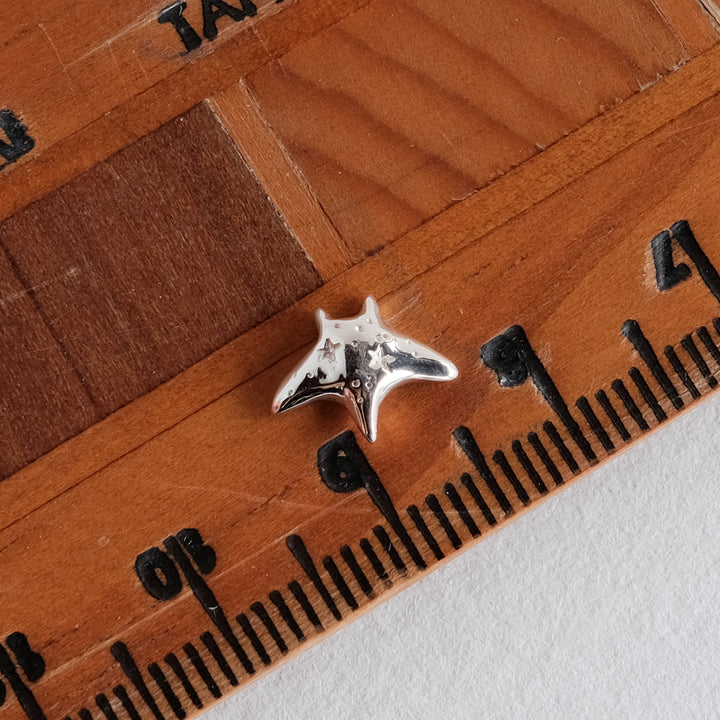 Stardust Manta Ray Guardian [Sterling Silver]