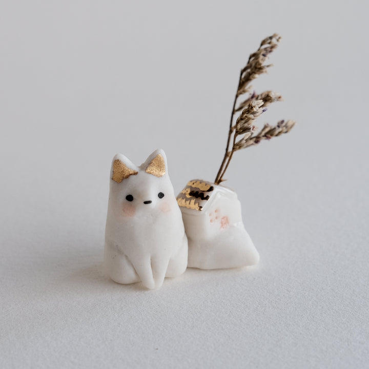 House Fox | Sat