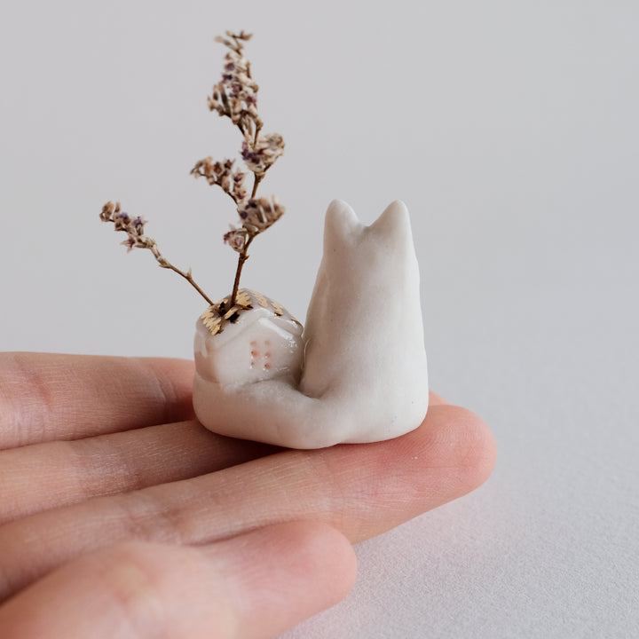 House Fox | Sat