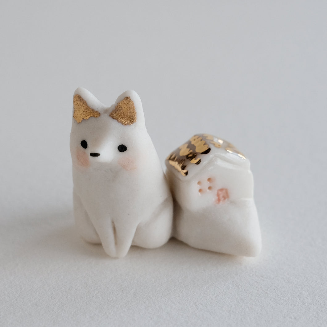 House Fox | Sat