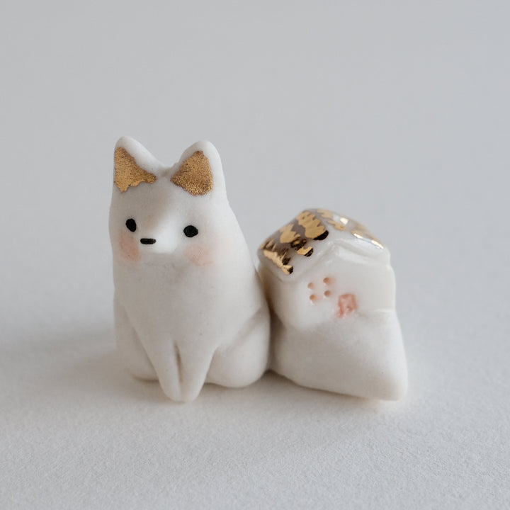 House Fox | Sat