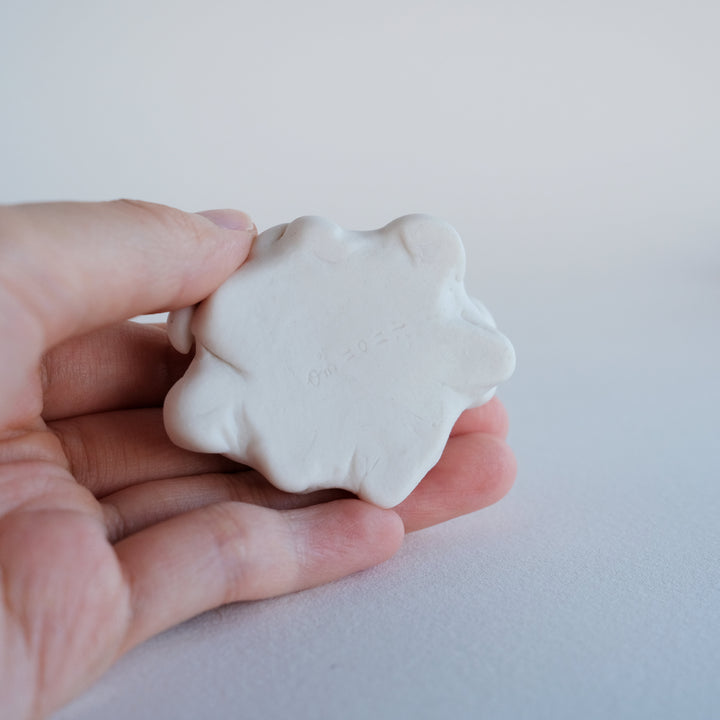 Cloud Dish | Watchful Fox