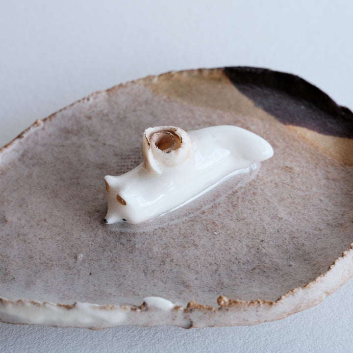 Footed Dish | Slumped Fox