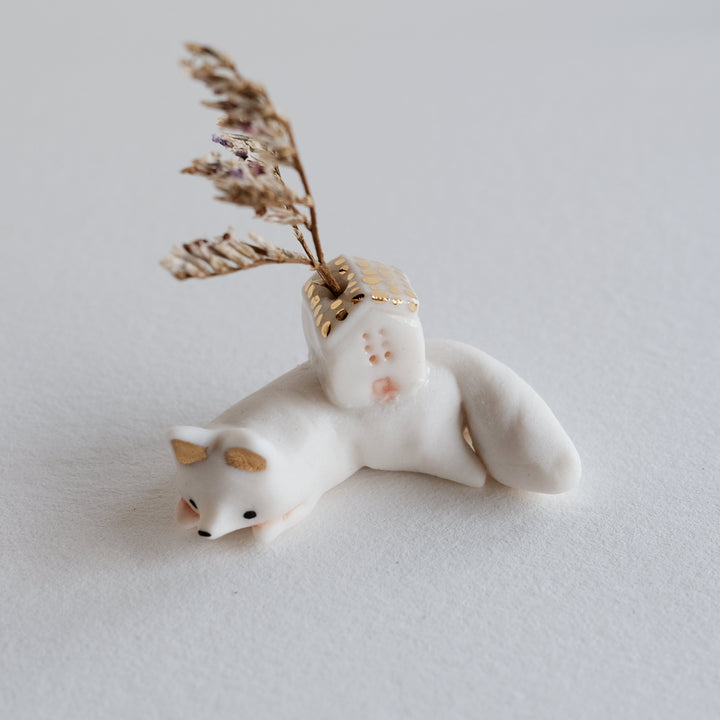 House Fox | Nap Time