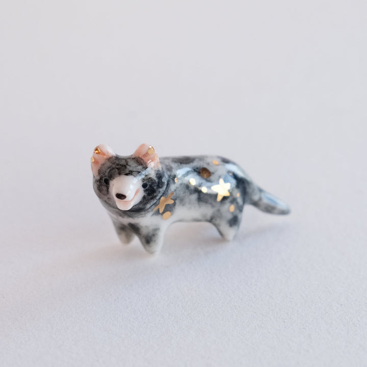 Tasmanian Devil Guardian | Mouth Open
