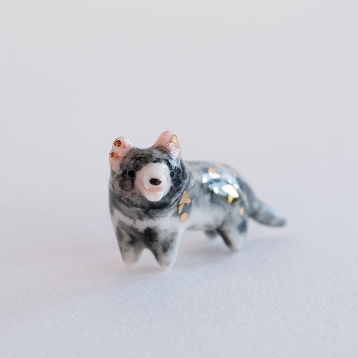 Tasmanian Devil Guardian | Mouth Open