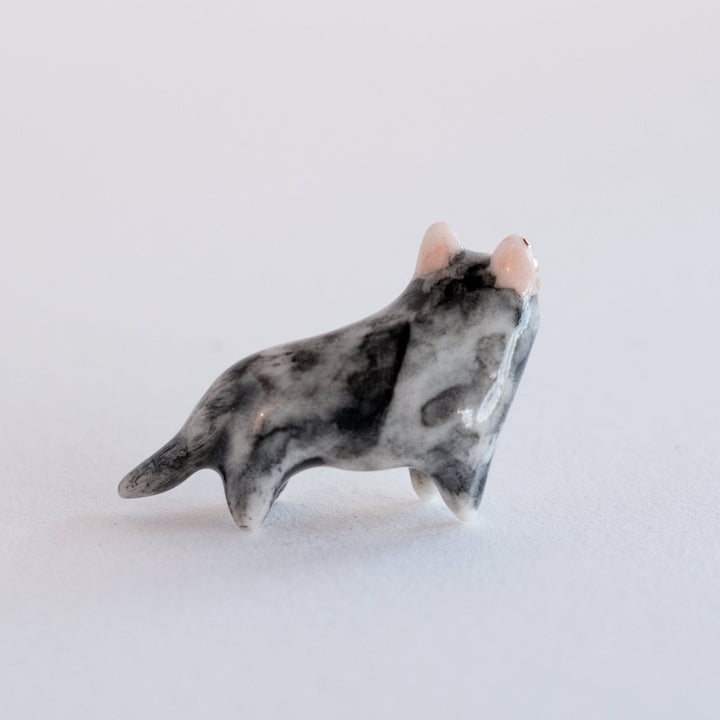 Tasmanian Devil Guardian | Mouth Open