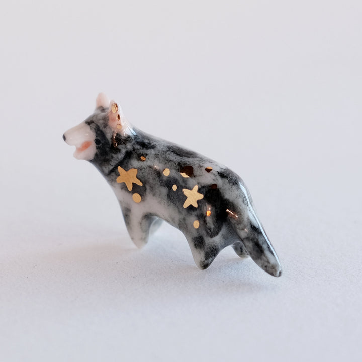 Tasmanian Devil Guardian | Mouth Open