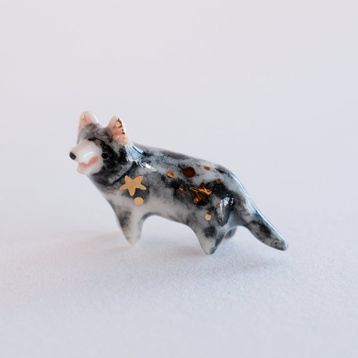Tasmanian Devil Guardian | Mouth Open
