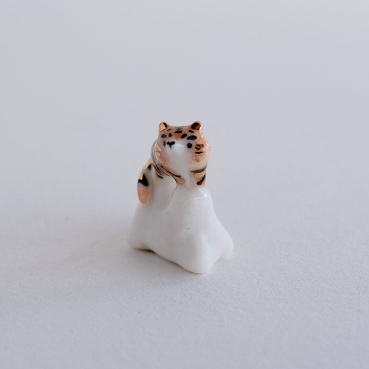 Cloud Guardian | Tiger