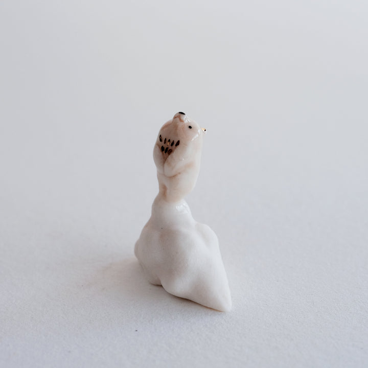 Cloud Guardian | Gazing Bear