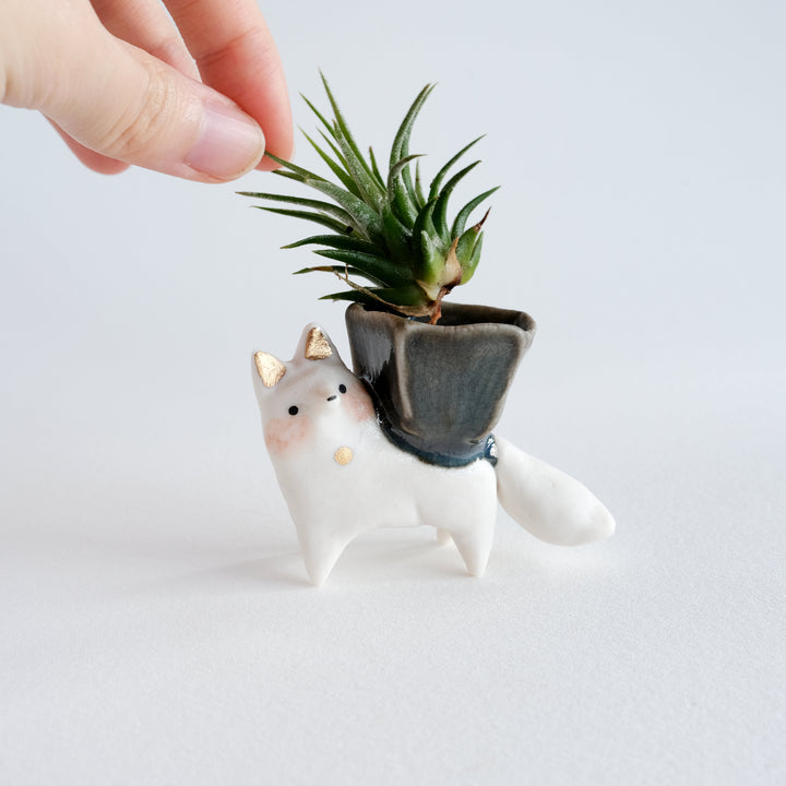 Fox Guardian | Geometric Vessel Carrier
