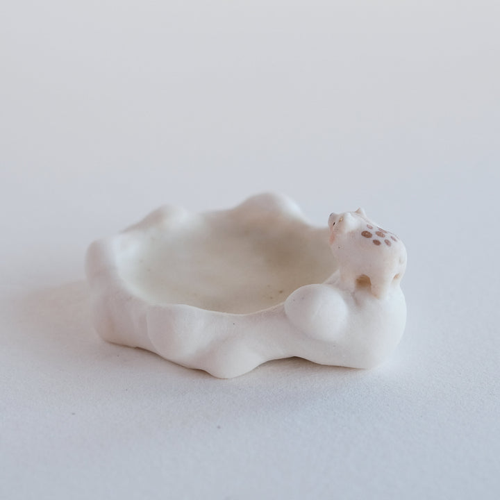 Cloud Dish | Watchful Bear