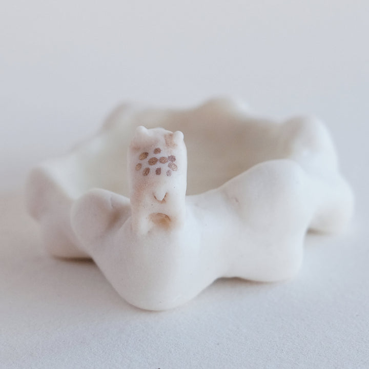 Cloud Dish | Watchful Bear