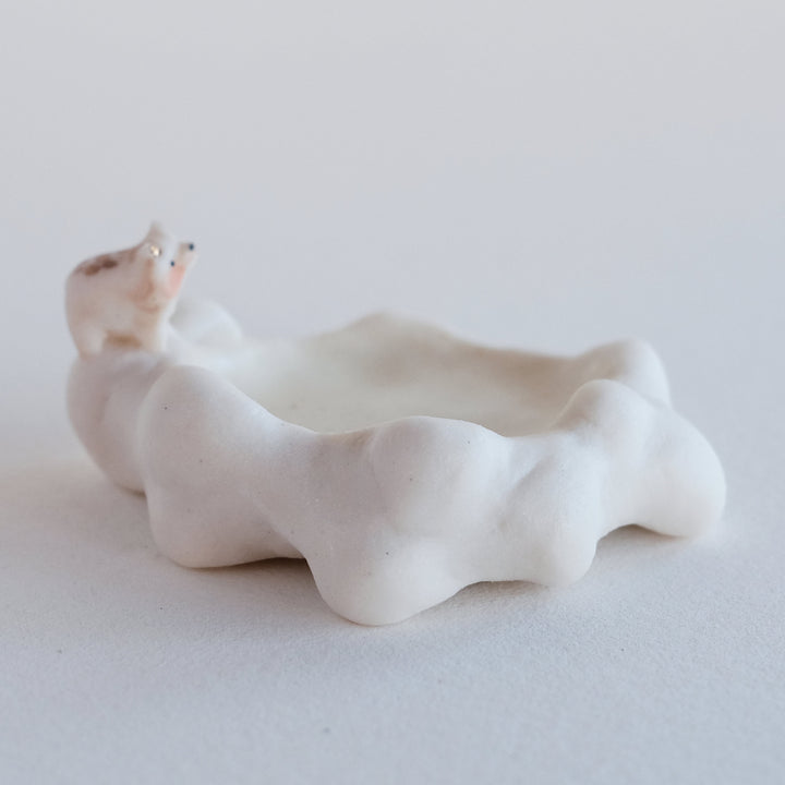 Cloud Dish | Watchful Bear