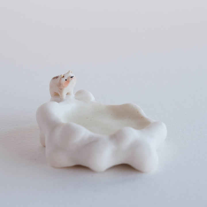 Cloud Dish | Watchful Bear