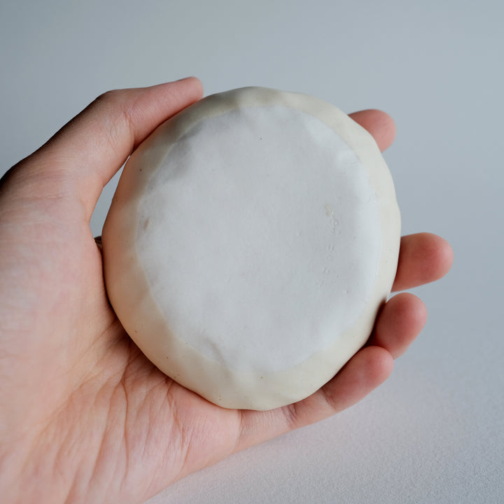 Guardian Dish | Wandering Stardust Elephant