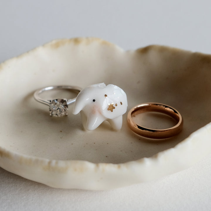 Guardian Dish | Wandering Stardust Elephant