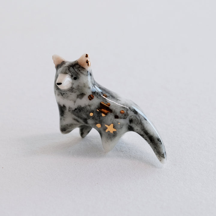 Tasmanian Devil Guardian | Wandering