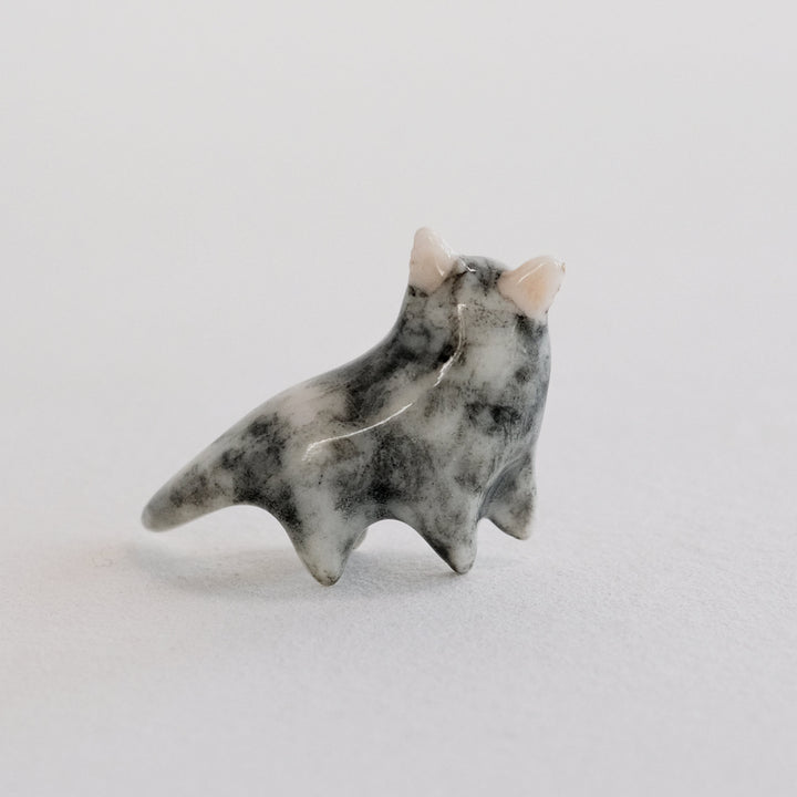 Tasmanian Devil Guardian | Wandering