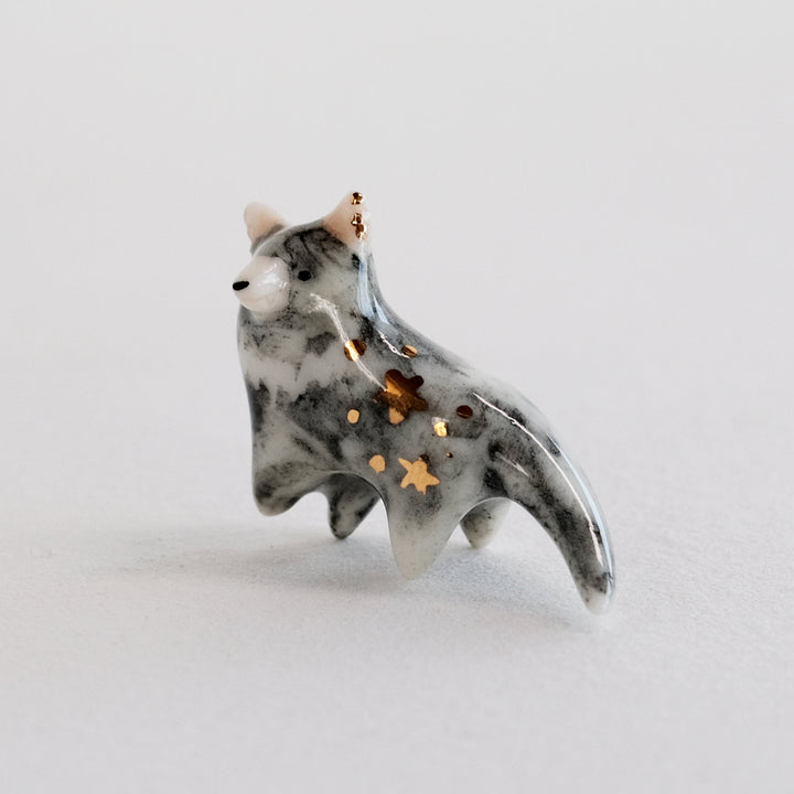 Tasmanian Devil Guardian | Wandering