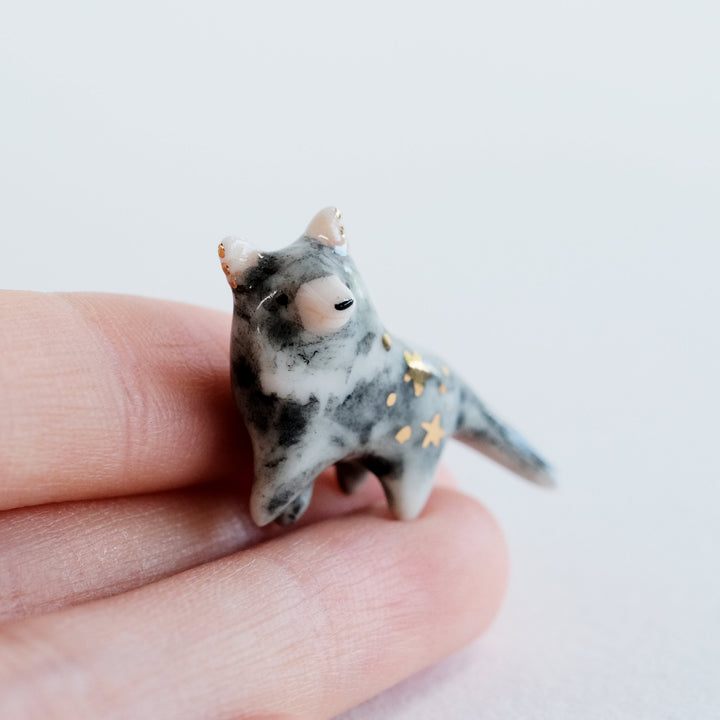 Tasmanian Devil Guardian | Wandering
